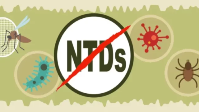 Photo illustration of NTDs